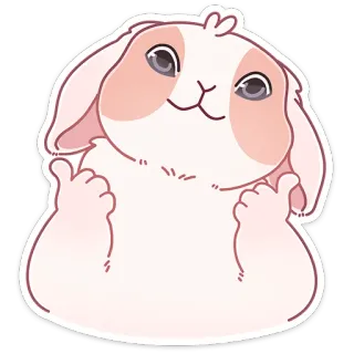 👍 coelho, fofo, animal, animal de estimação, polegar para cima whatsapp sticker