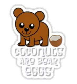 🐻 COCONUTS ARE BEAR EGGS coconut, bear, animal, meme, funny, joke, food telegram sticker