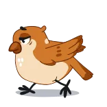 😒 burung, gereja, kartun, binatang, lucu, cokelat telegram sticker