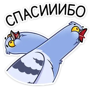🙏 СПАСИИБО paloma, pájaro, gracias, dibujo animado, animal, lindo telegram sticker