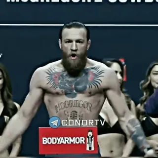 🦁 Conor McGregor CONORTV Conor McGregor, UFC, MMA, fighter, sports telegram sticker