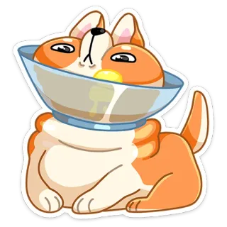 😬 หมา, สัตว์, น่ารัก, คอร์กี้, ชาม, โคน telegram sticker