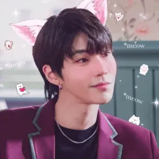 😍 *meow kucing, telinga, lucu, meong, berkilau, filter, pria, korea telegram sticker