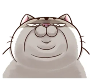 🌝 Katze, lustig, Tier, süß, Haustier, Cartoon whatsapp sticker