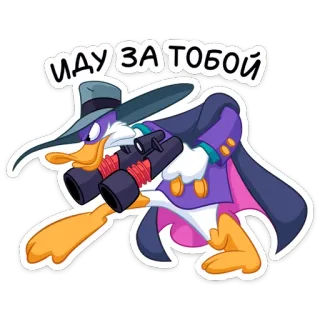 🕵‍♀ Darkwing Duck ИДУ ЗА ТОБОЙ darkwing duck, cartoon, duck, binoculars, пурпурный, hat telegram sticker