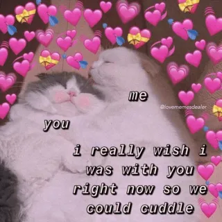 🍡 me
you
i really wish i
was with you
right now so we
could cuddle chats, câlin, amour, mème, voeu, mignon whatsapp sticker