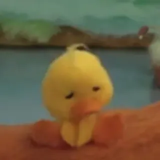 🦆 pato, brinquedo, amarelo, pelúcia, animal whatsapp sticker