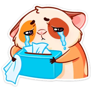 🥺 triste, piangere, criceto, lacrime, scatola di fazzoletti, arrabbiato, emotivo, kawaii telegram sticker