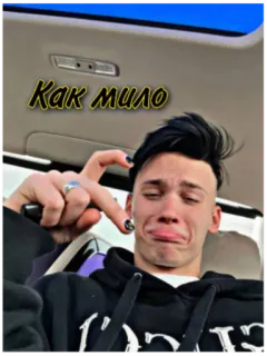 Муд Милохин🦄✨❤️ telegram stickers