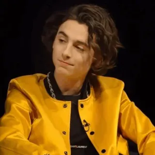 📯 Timothée Chalamet timothée chalamet, acteur, veste jaune, portrait, célébrité telegram sticker