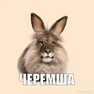 Больше стиков тут: @stikery4 telegram stickers