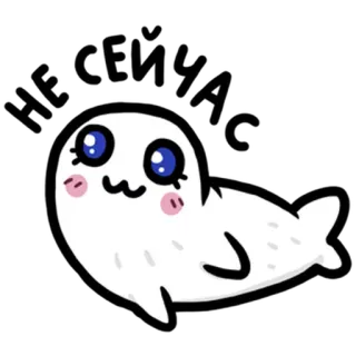 🐬 НЕ СЕЙЧАС แมวน้ำ, น่ารัก, สัตว์, การ์ตูน, ไม่เอาตอนนี้, ตลก telegram sticker