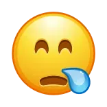 😪