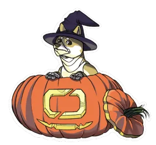 🌕 собака, тыква, хэллоуин, шляпа ведьмы, наклейка, милый telegram sticker