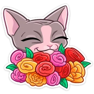 💐 cat, flowers, roses, bouquet, cute, animal, sticker telegram sticker