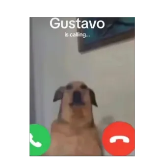 ☎️ Gustavo Gustavo
is calling... hond, oproep, telefoon, inkomende oproep, Gustavo whatsapp sticker