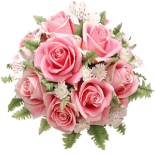 🌺 flower, roses, pink, bouquet, floral, arrangement, wedding telegram sticker