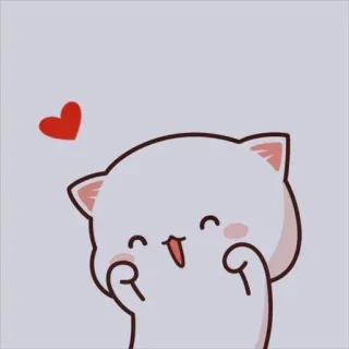 💘 кот, милый, сердце, животное, каваий whatsapp sticker