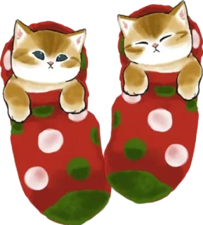 🧦 gato, gatinho, natal, meia, fofo, animal telegram sticker