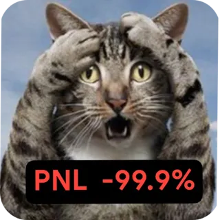🐱 PNL -99.9% telegram sticker