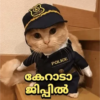 😂 കേറാടാ ജീപ്പില് cat, police, uniform, officer, funny telegram sticker