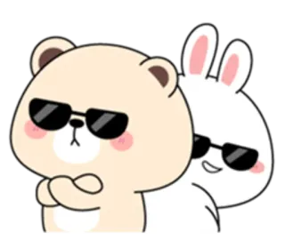 👿 ours, lapin, dessin animé, cool, mignon, lunettes de soleil whatsapp sticker