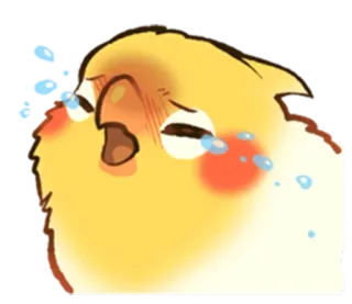 😣 calopsita, pássaro, chorando, triste, lágrimas, emocional, angustiado, chateado telegram sticker
