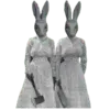 🐰