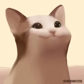 🙂 @UNDRAMATICO0 chat, mème, animal, animal de compagnie, mignon, drôle whatsapp sticker