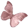 @S_H_S58 :: @fStikBot telegram emojis 🦋
