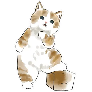 👹 猫, 子猫, 箱, 可愛い, 動物, ペット telegram sticker