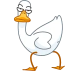 ๐ฉ goose, cartoon, animal, bird whatsapp sticker