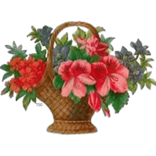 🌹 flowers, basket, floral, bouquet, nature, decoration whatsapp sticker