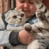 🐈