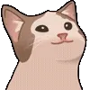 (@ShoutoEmoji) All Cats telegram emojis 🐱