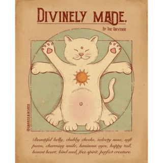 ✨ DIVINELY MADE.
BY THE UNIVERSE
Beautiful belly, chubby cheeks, velvety nose, soft
panos, charming smile, hamimon qyes, happy tail,
honest heart, kind sont, free spirit, perfect creature. cat, animal, cute, illustration, whimsical, divine, universe telegram sticker