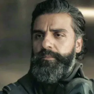 😐 Dune movie, dune, oscar isaac, duke leto atreides telegram sticker