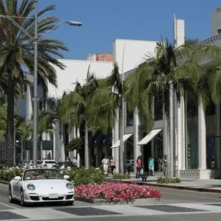 🏎️ paesaggio urbano, lusso, strada, palme, edificio, auto, fiori telegram sticker