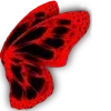 🦋