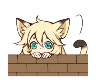 😶 Anime, Gatto, Carino, Muro, Kawaii, Animale telegram sticker