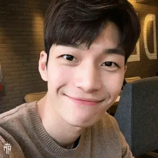 😁 man, smile, portrait, person, selfie, asian telegram sticker