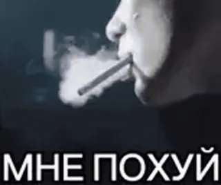😐 МНЕ ПОХУЙ fumare, sigaretta, russo, slang telegram sticker