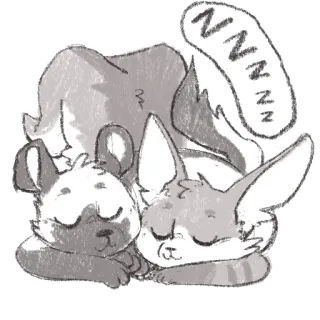 🛌 ZZZZZ 動物, 睡眠, 可愛い, 猫, 犬, 眠り whatsapp sticker