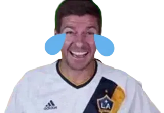😂 サッカー, 泣く, LAギャラクシー, スティーブン・ジェラード, フットボール telegram sticker