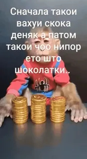 🌟 Сначала такои вахуи скока деняк а патом такои чоо нипор ето што шоколатки. Affe, Schokolade, Münzen, Meme, lustig, Tier telegram sticker