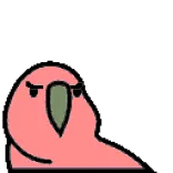 😡 попугай, птица, злой, мультфильм, розовый whatsapp sticker