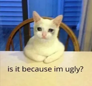 🥺 is it because im ugly? gato, meme, triste, feio, animal de estimação telegram sticker