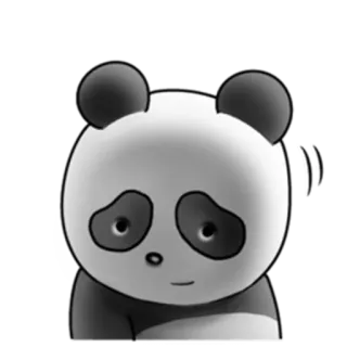 😶 Panda, Animal, Lindo, Oso, Triste, Bambú whatsapp sticker