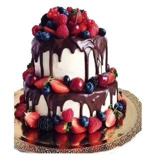 🎂 bolo, frutas vermelhas, sobremesa, chocolate, doce, comida telegram sticker