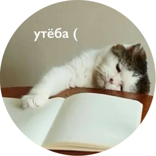 💩 утёба ( kat, boek, verdrietig, verveeld, slapen whatsapp sticker